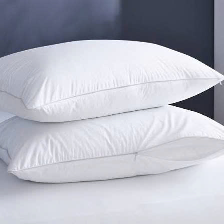 Ruột Gối Nệm Xanh Comfy Premium
