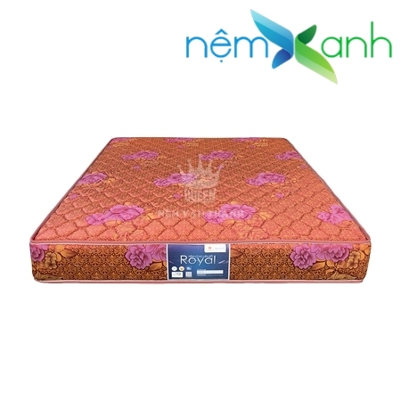 nlx-vanthanh-royal-tricat-01.jpg_product_product_product_product