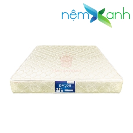 nlx-vanthanh-royal-tricat-2-m-01.jpg_product_product_product_product